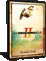 The Windsurfing Movie 2 DVD