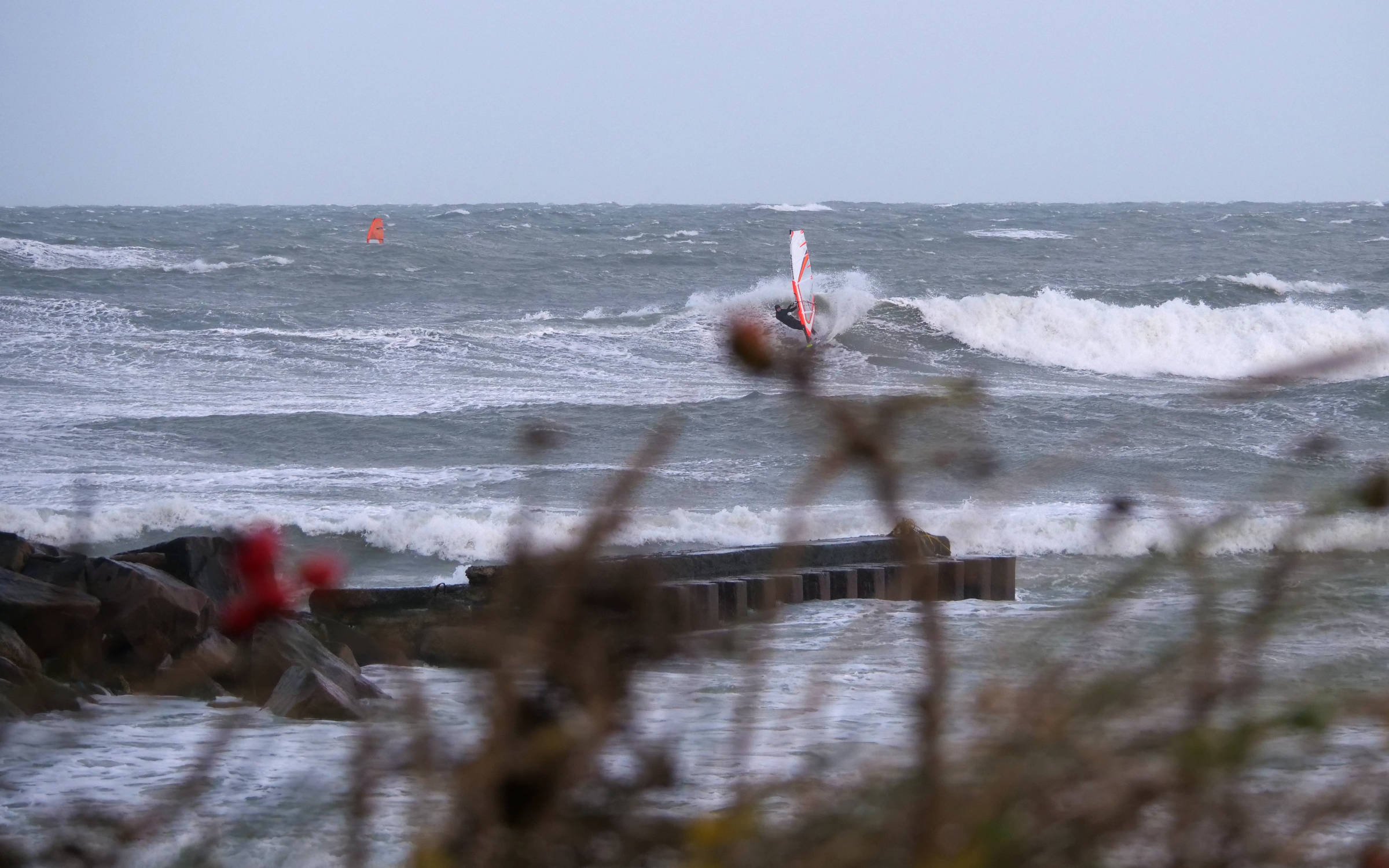 17.11.2024 - Hanstholm - Fischfabrik