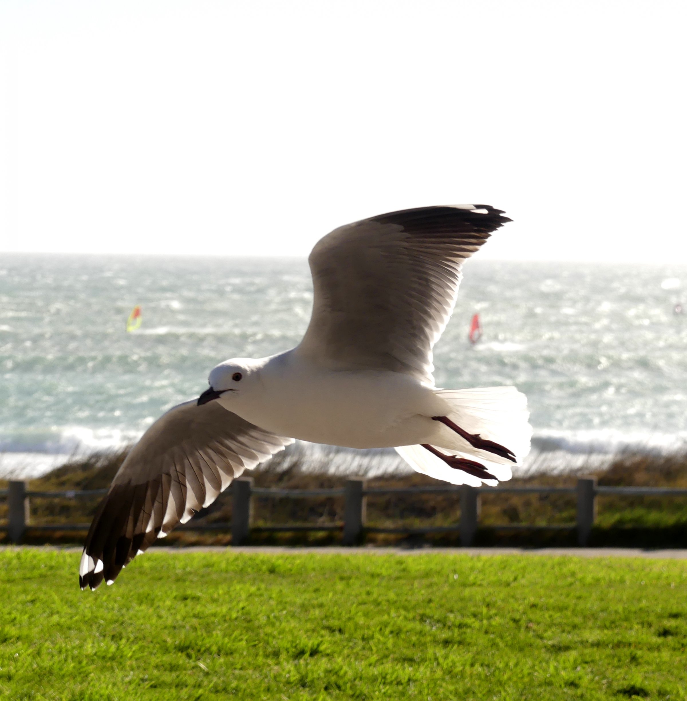 10.02.2025 - BigBay