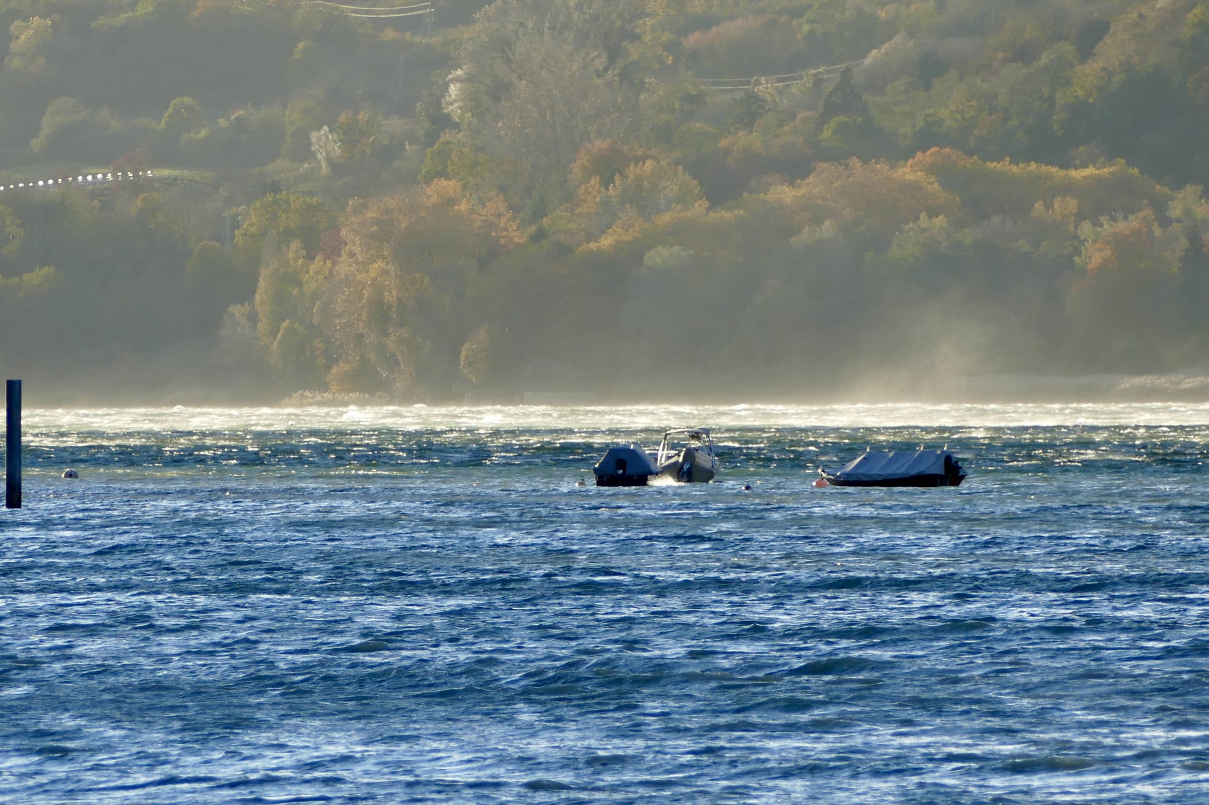 23.10.2025 - Untersee des Bodensees
