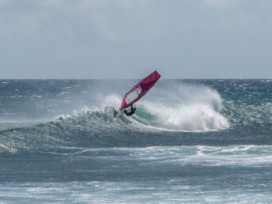 17.03.2026 - Salinas de Tenefé/Pozo/Gran Canaria