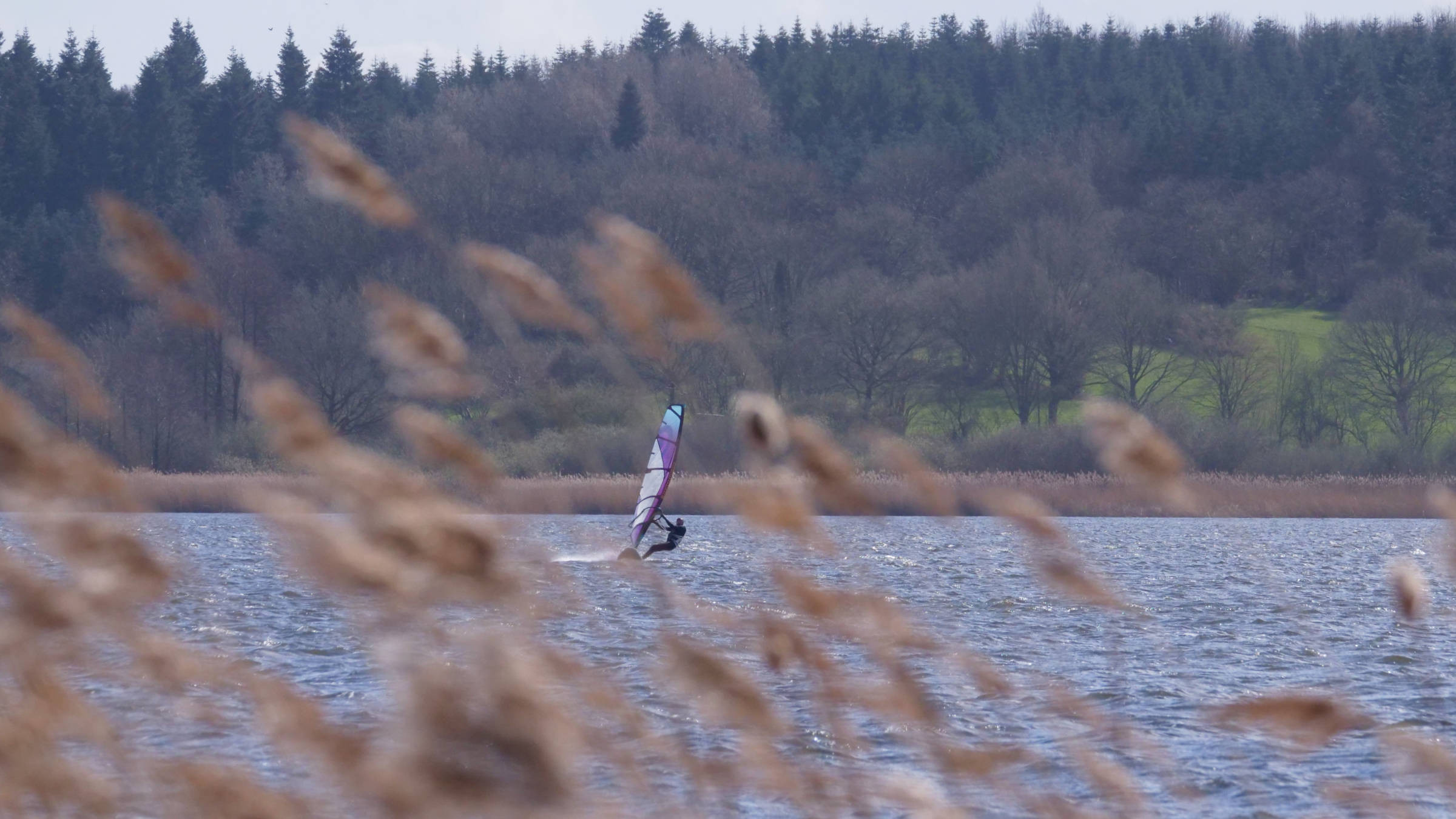 04.04.2026 - Westensee