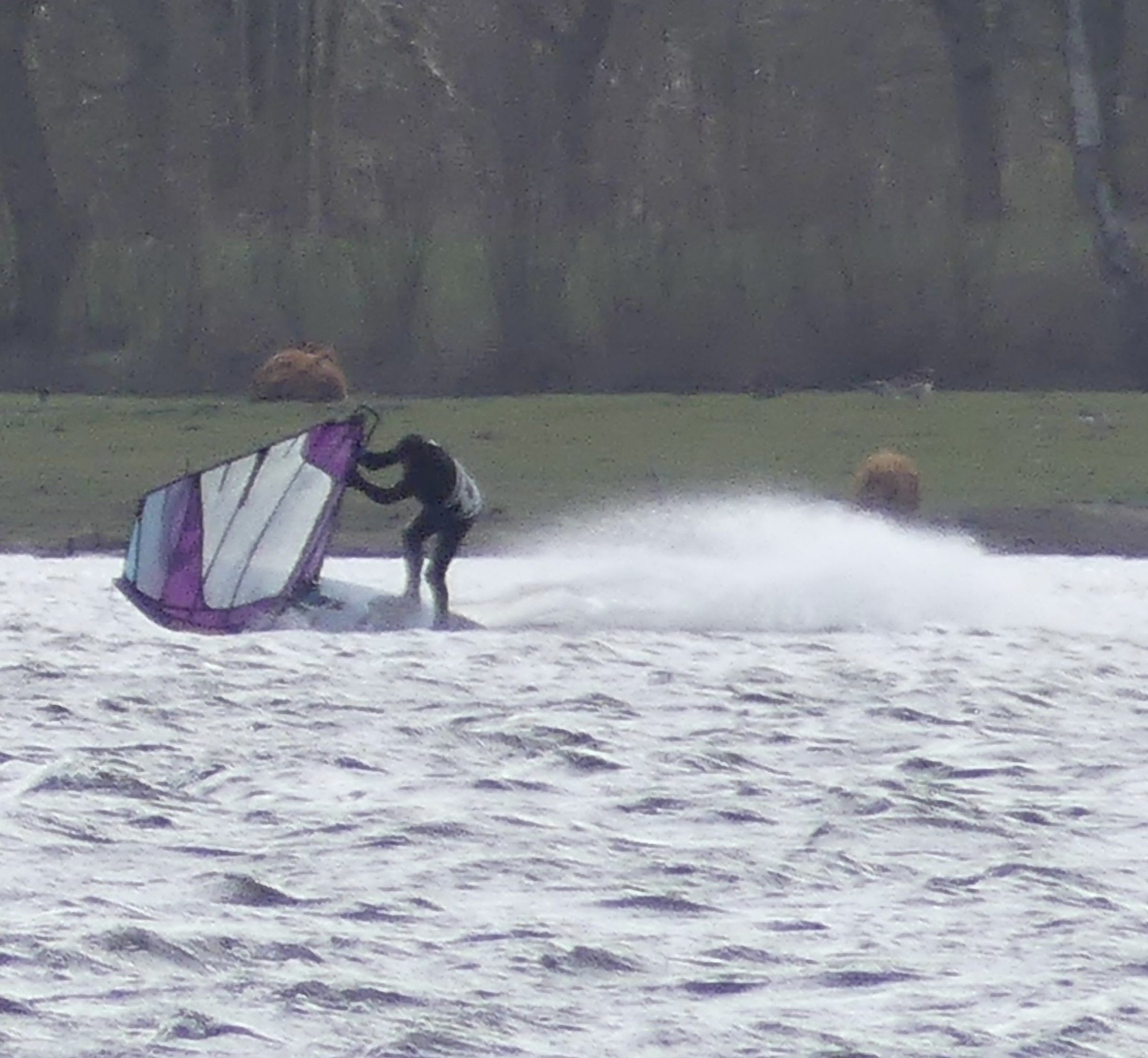 05.04.2026 - Westensee 