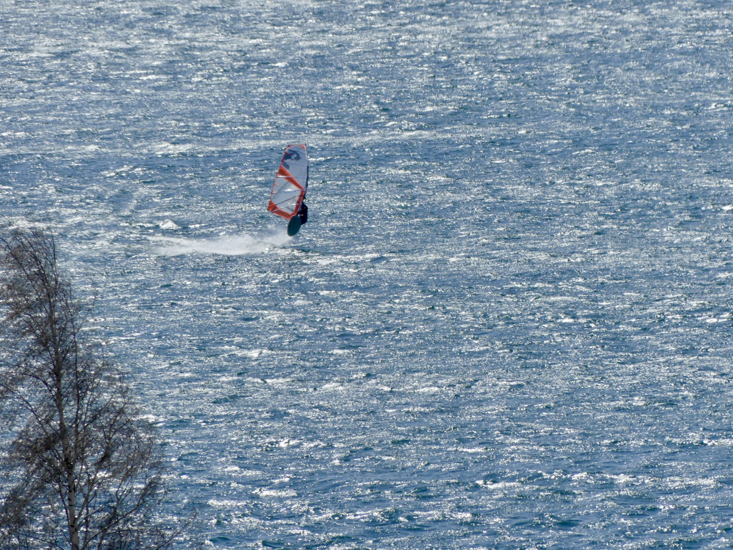 06.04.2026 - Concordia See