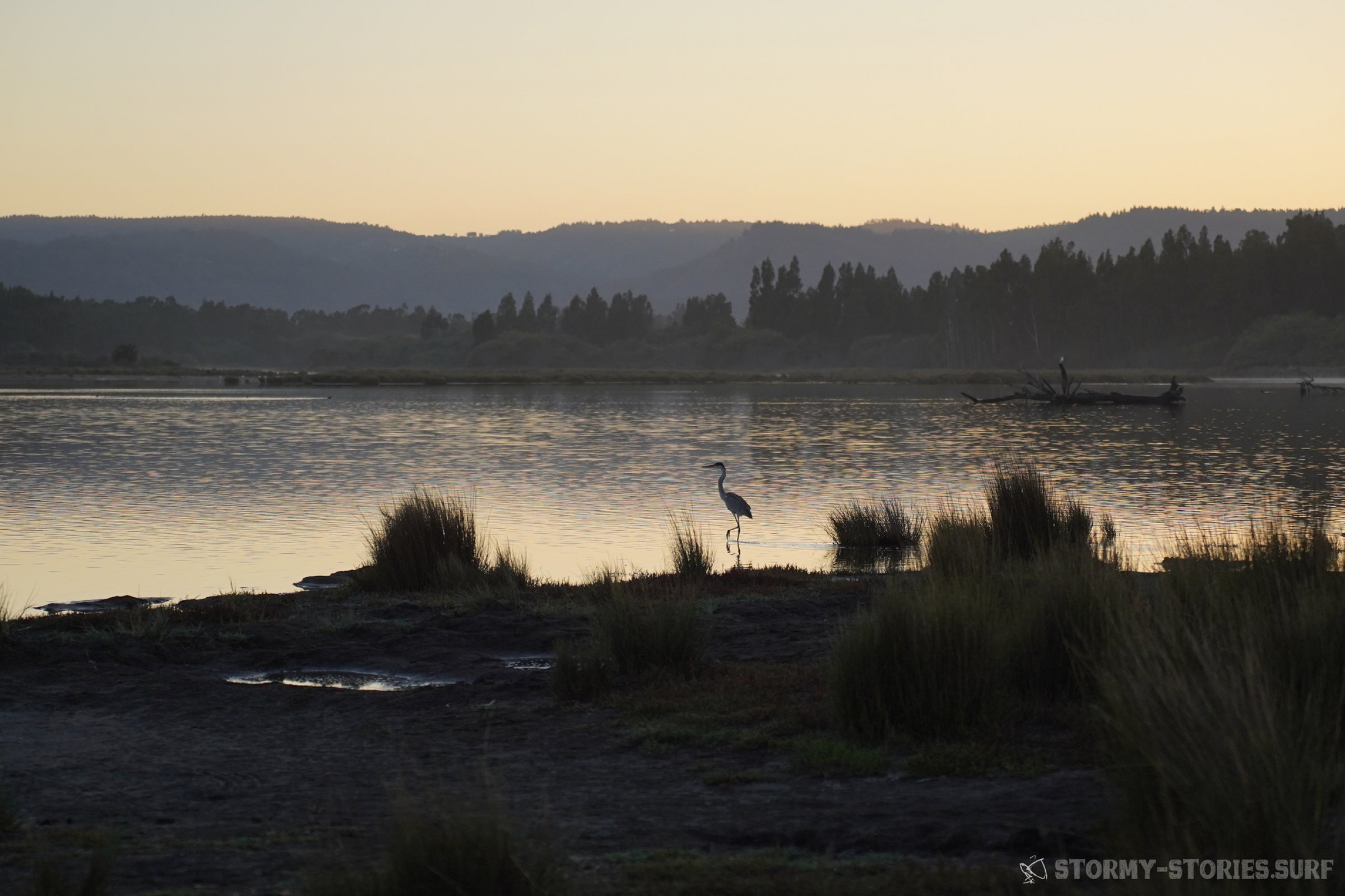 09.03.2026 - Topocalma - Chile