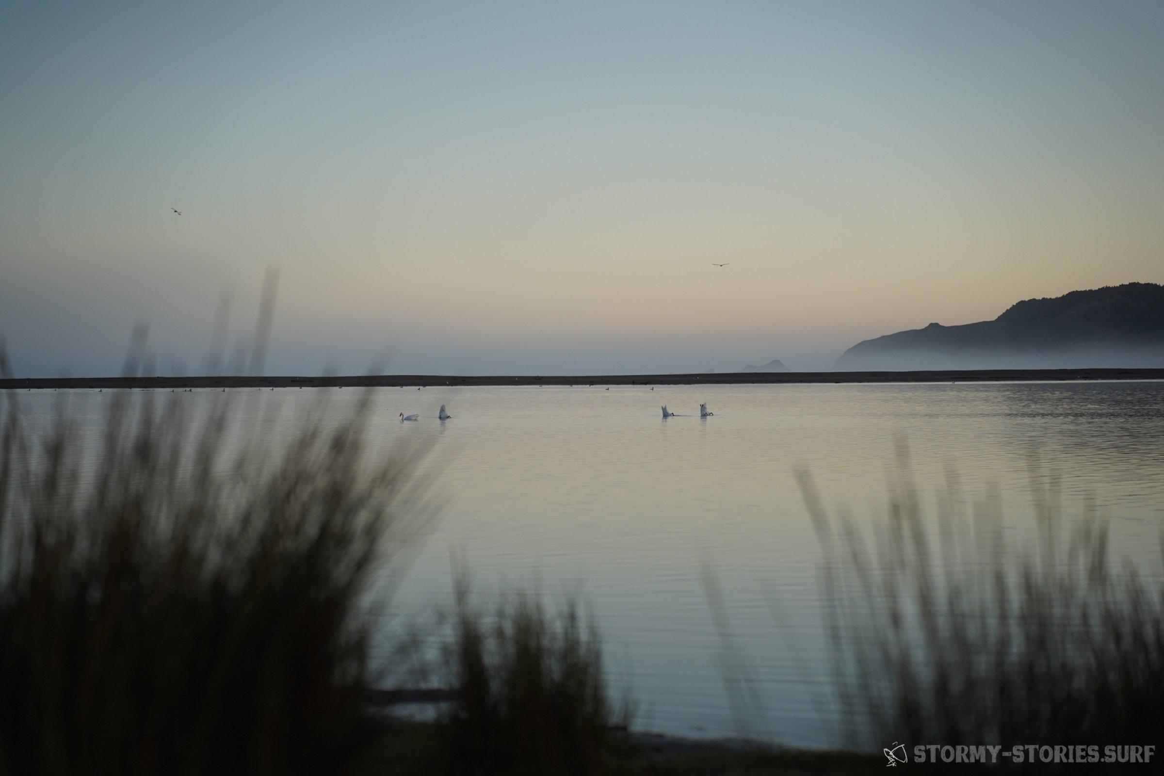 23.03.2026 - Topocalma - Chile