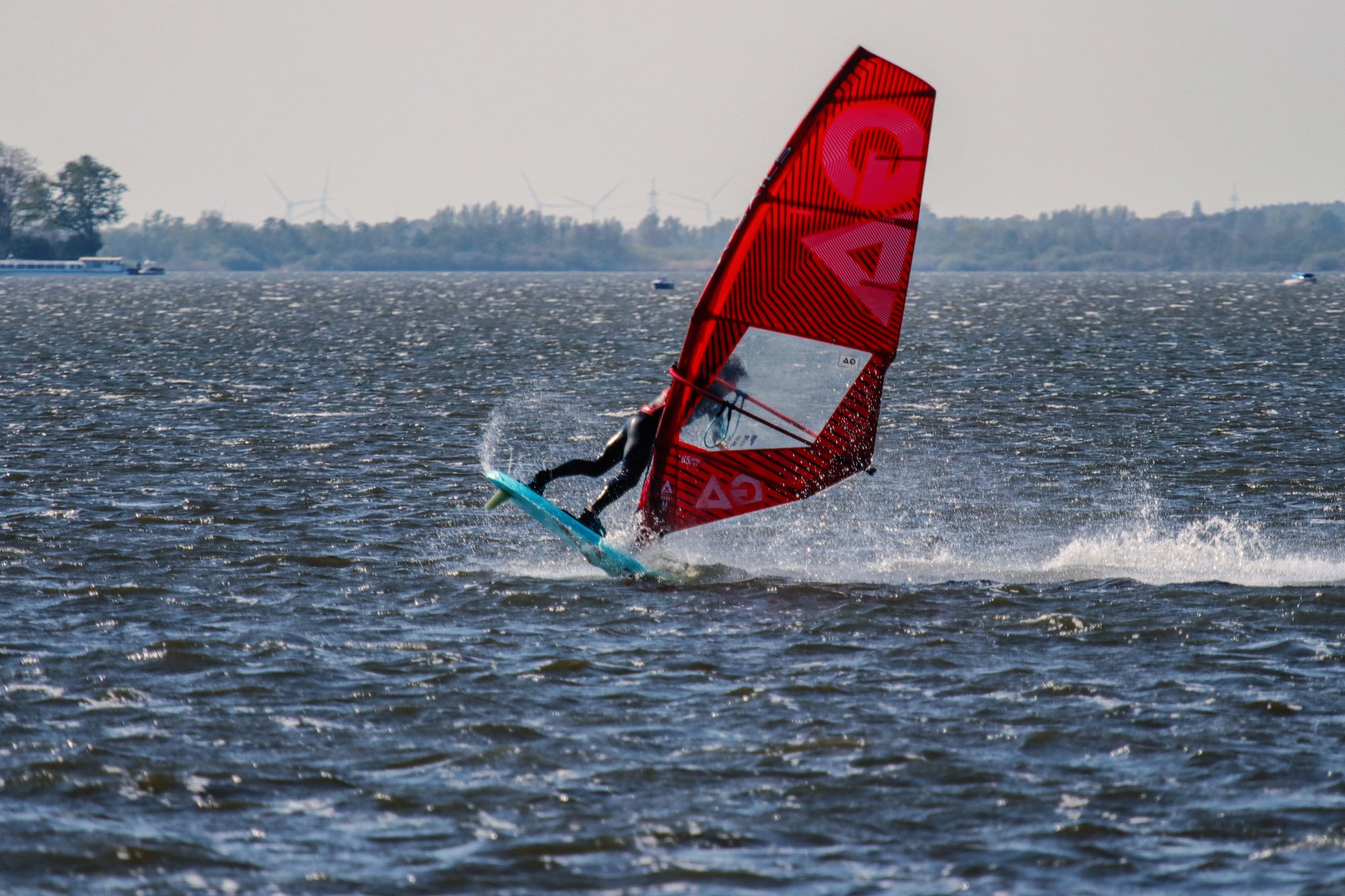 24.04.2026 - Steinhuder Meer