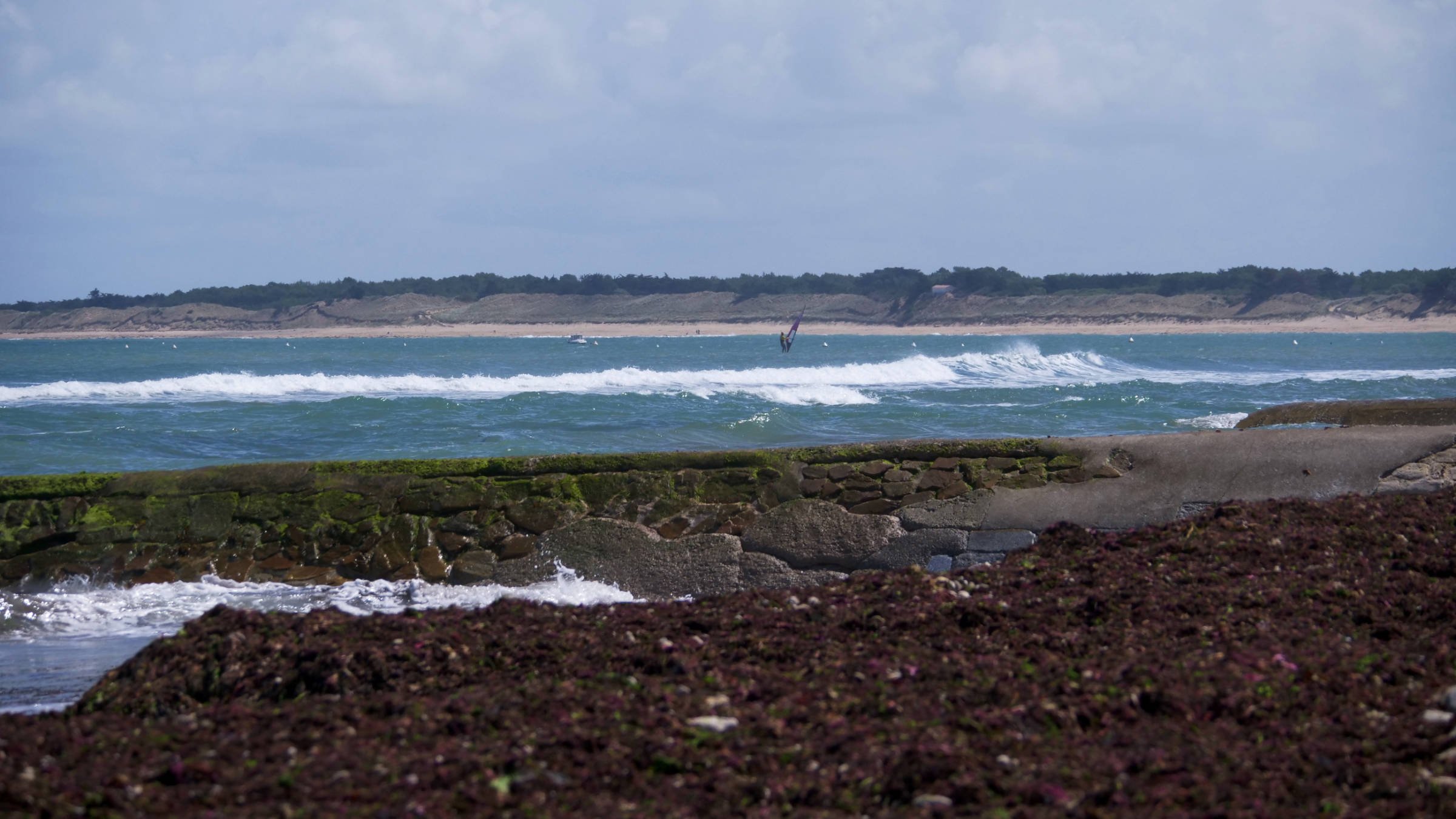 08.06.2026 - Conche des Baleines