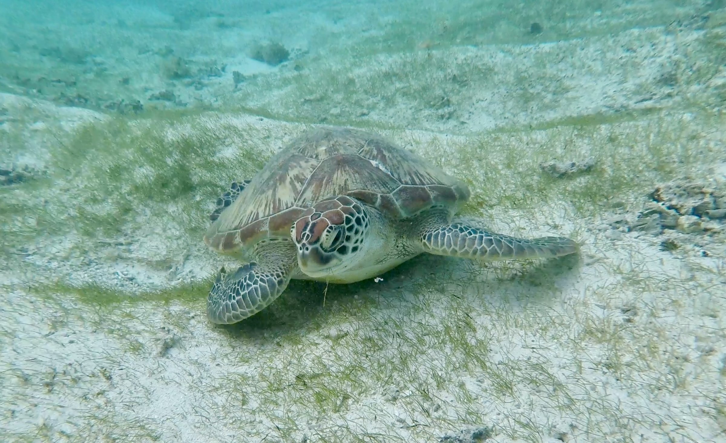 28.08.2026 - El Morne - Mauritius
