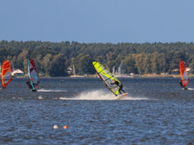 10.10.2026 - Steinhuder Meer
