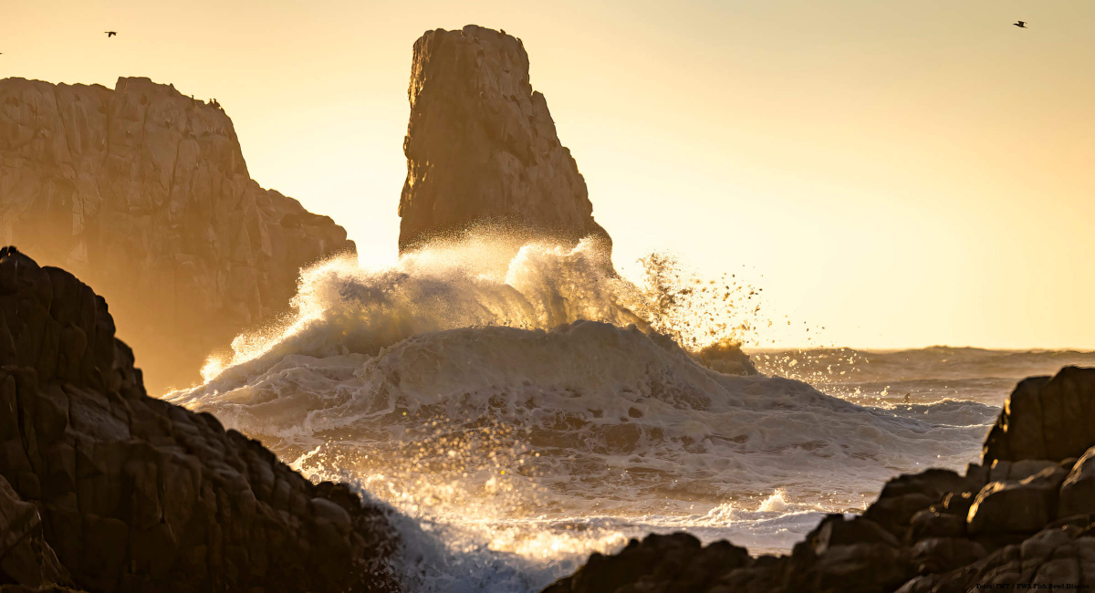 IWT / PWA Wave World Cup Chile 2025