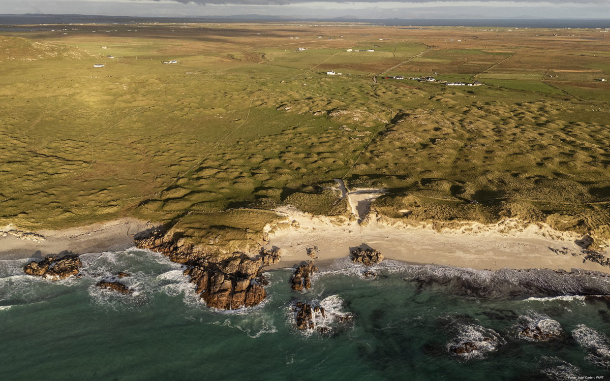 Tiree