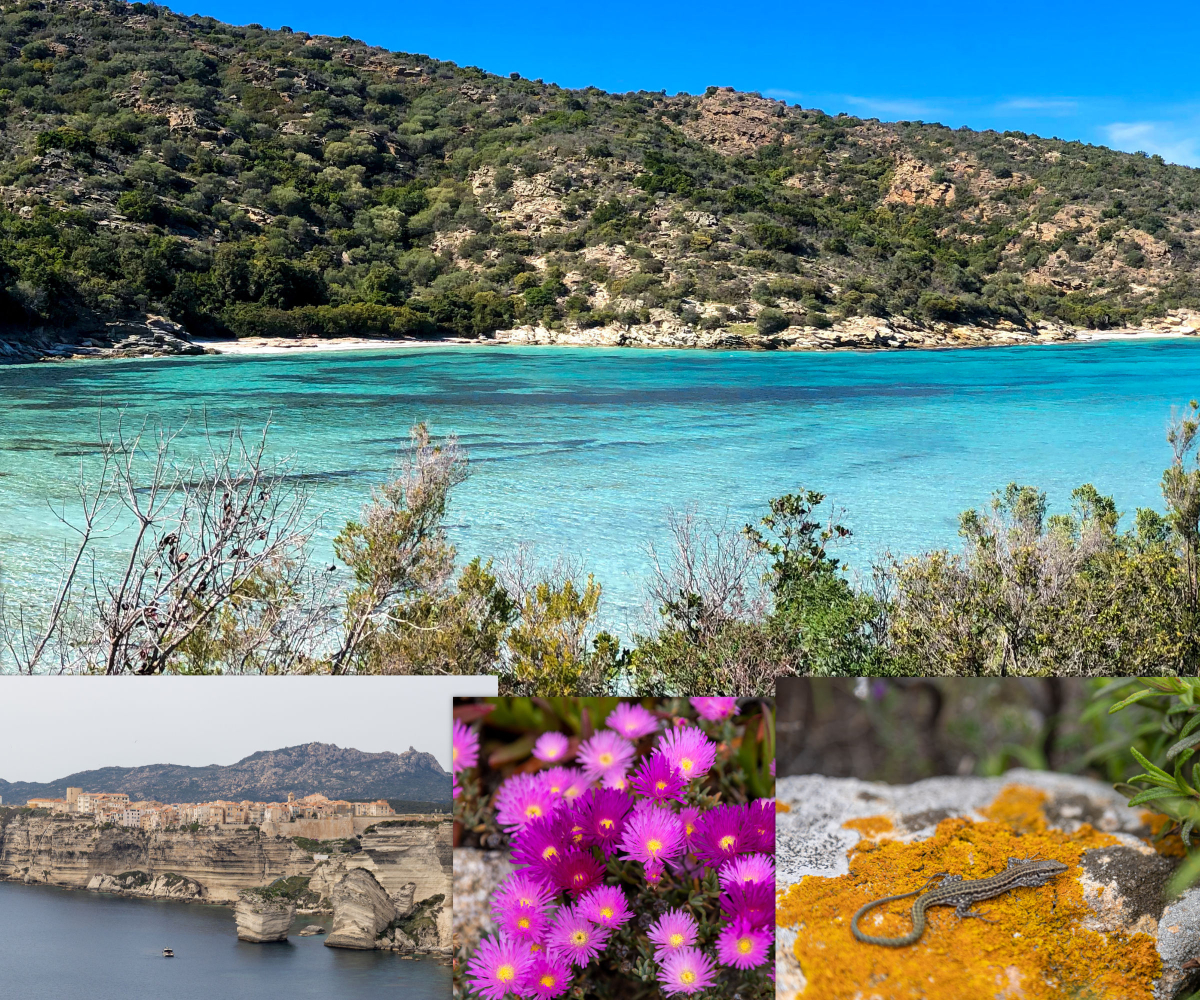 Korsika Natur