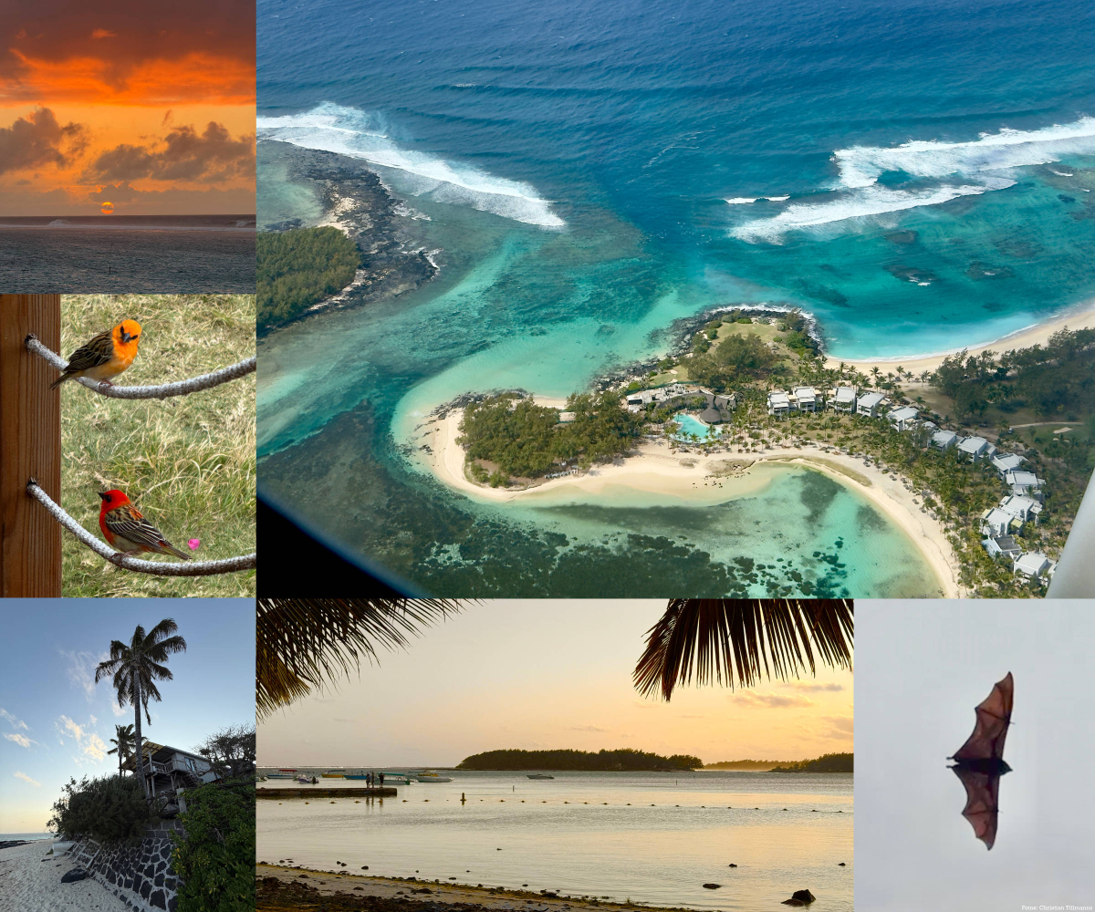 Rund um Blue Bay. Der Ort liegt in der Nähe des Flughafens von Mauritius.