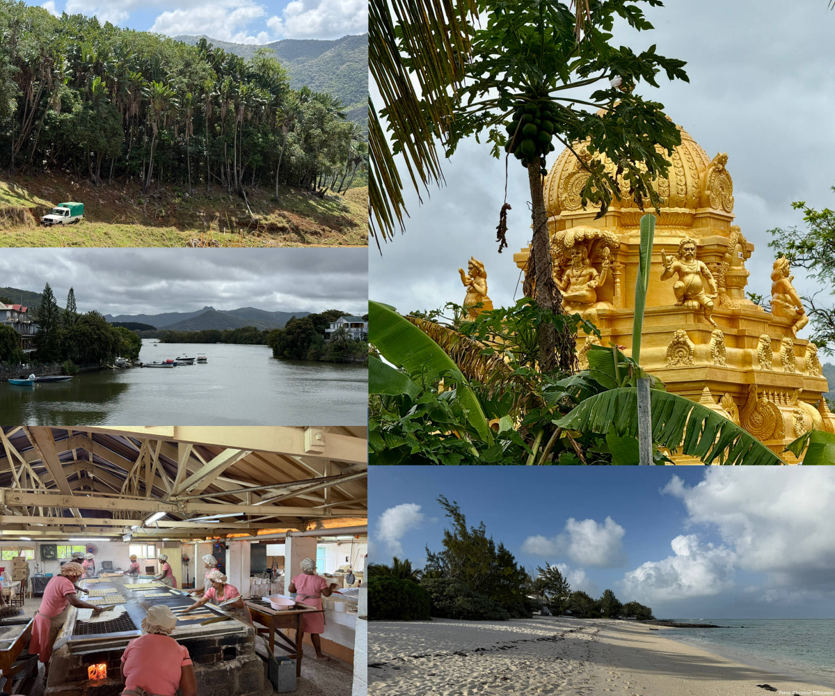 Man kann rund um Blue Bay mit Öffis schöne Tagestouren machen. Oben links: Wanderung in Ferney. Oben rechts: Mahebourg. Mitte links: Mahébourg. Unten links: Maniokbäckerei in Mahébourg. Unten rechts: Strand zwischen Blue Bay und Mahébourg bei Ebbe.