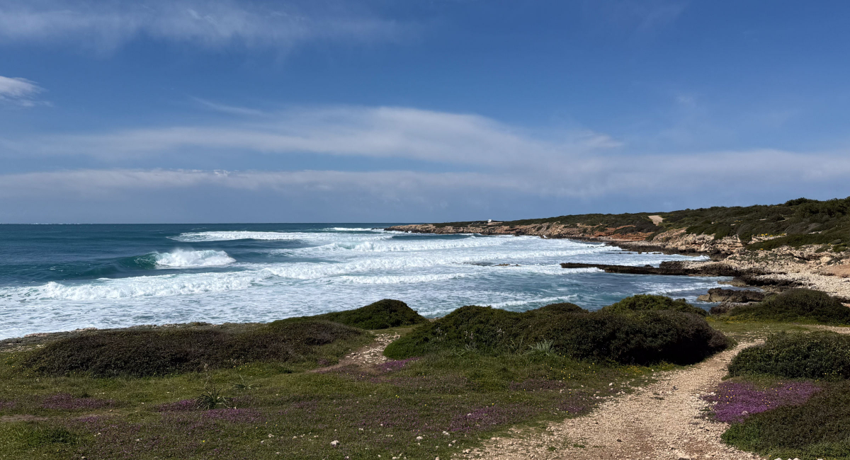 Windsurfurlaub auf Sardinien