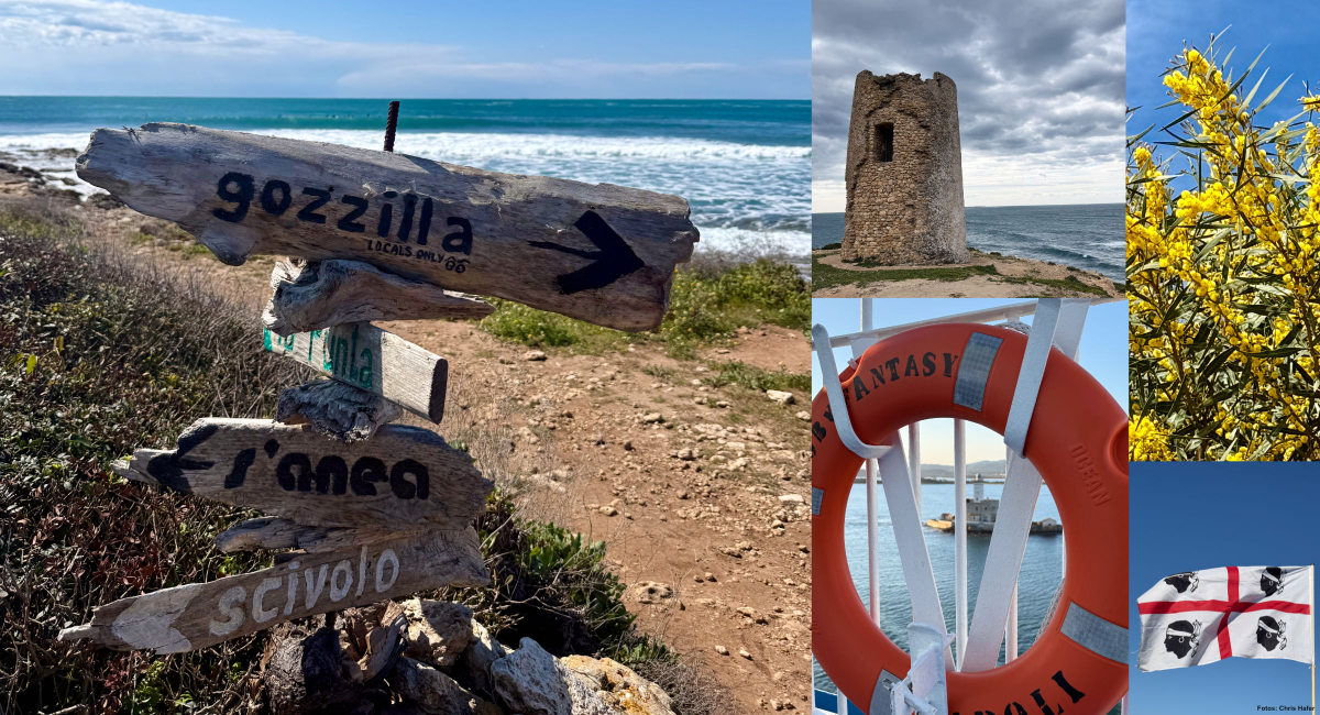 Windsurfurlaub auf Sardinien