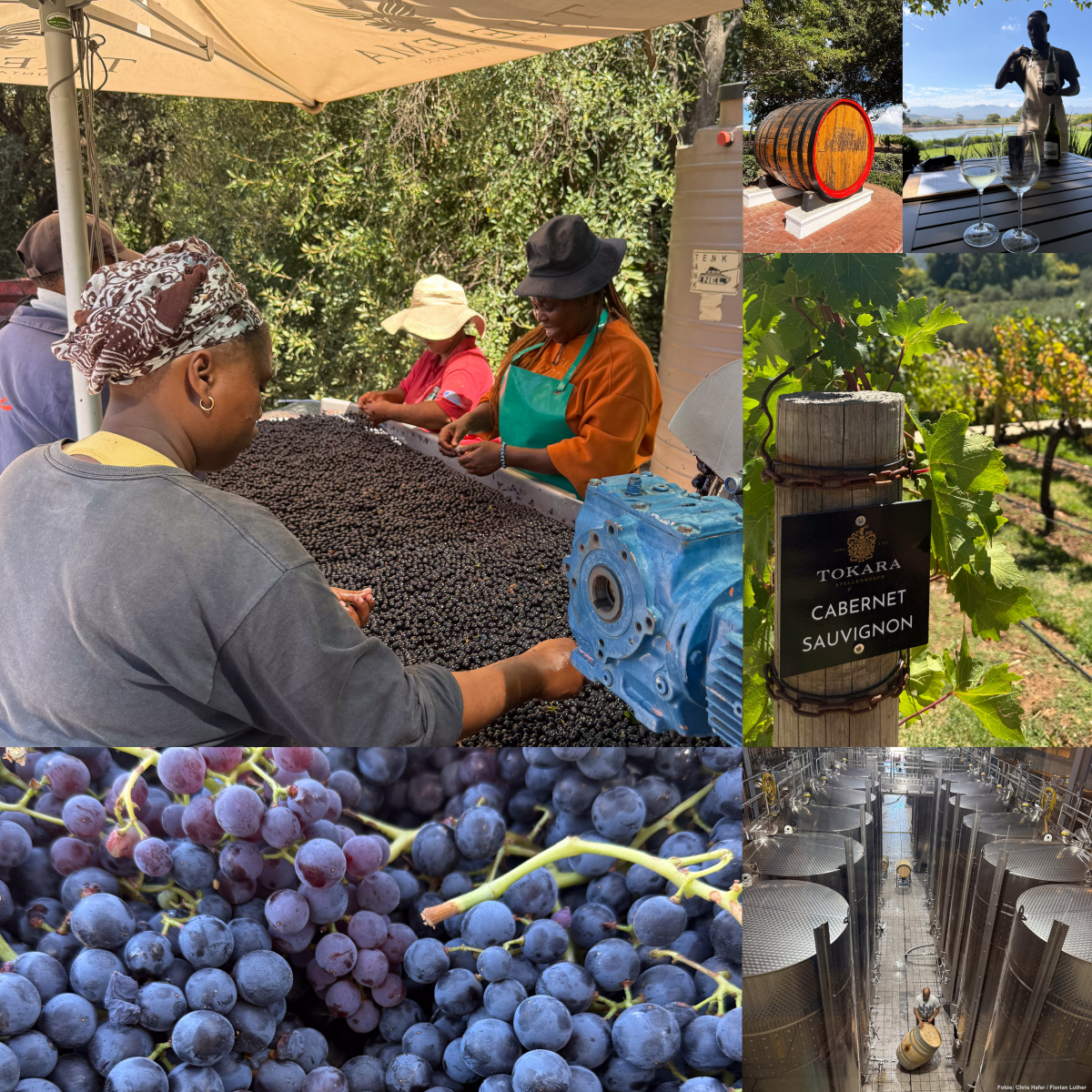 Südafrika hat eine lebendige Weinindustrie.