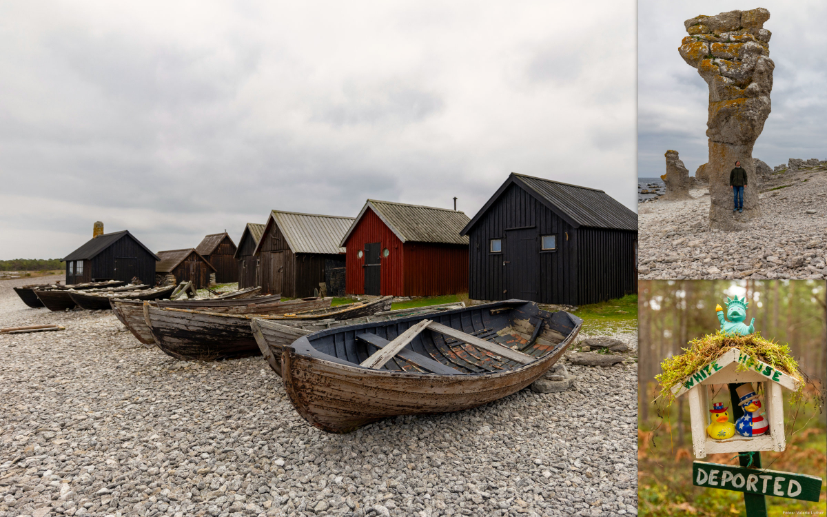 Fårö: Zwischen Schweden-Idylle und skurriller Enten-Installation im Wald.