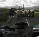 Irland / Road Trip