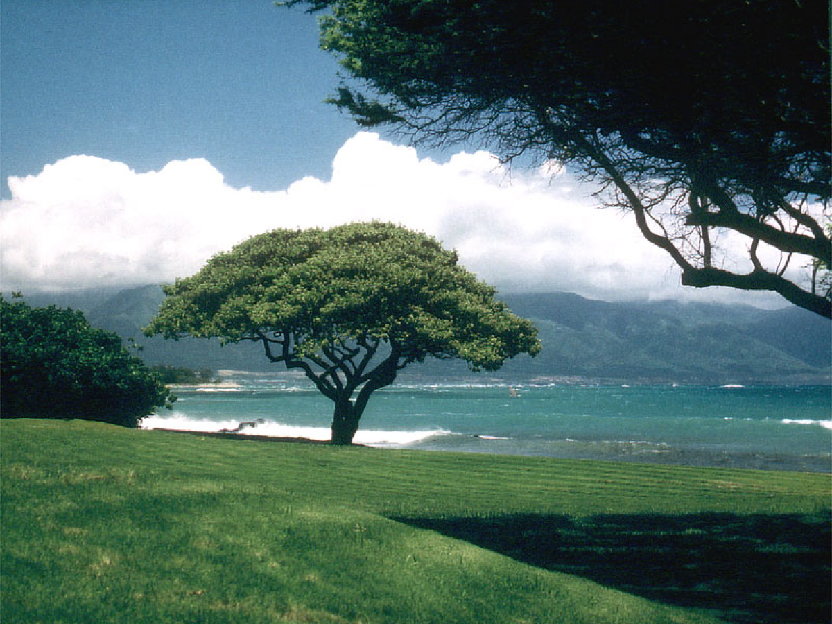 Wohnen am Northshore... Blick auf Sprecks, Camp One und die West Maui Mountains